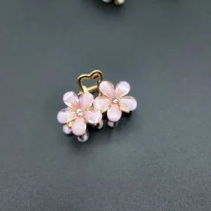 Metal Hair Clutcher | Rahul Plastics | Pack Of 12