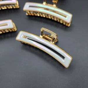 Dual Tone Hair Clutcher | Rahul Plastics | Pack of 12